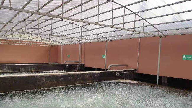 博取COD、氨氮及总磷分析仪应用于江西农村污水厂水质的监测