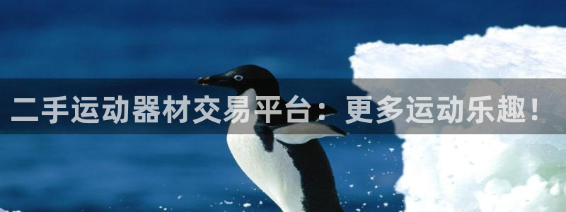 征途国际软件：二手运动器材交易平台：更多运动乐趣！