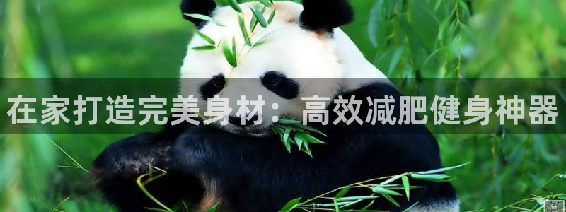 注册征途国际：在家打造完美身材：高效减肥健身神器