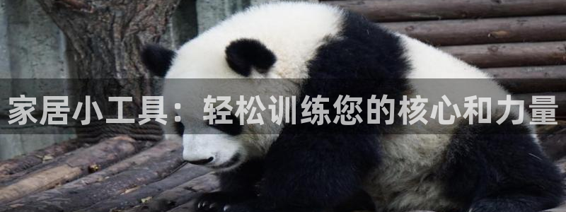 征途国际平台体育：家居小工具：轻松训练您的核心和力量