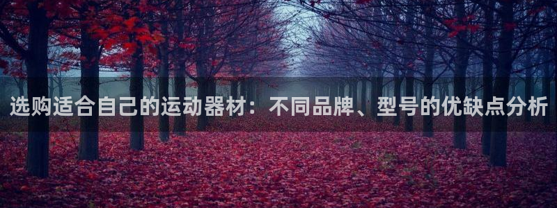 征途国际娱乐下载：选购适合自己的运动器材：不同品牌、