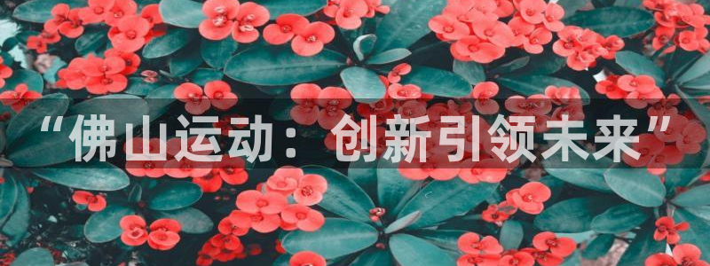征途国际集团