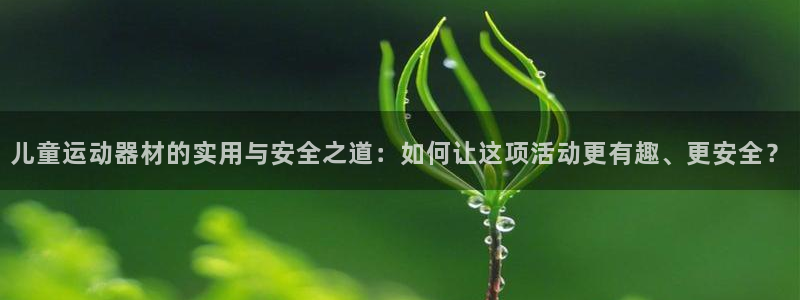 征途国际平台是正规平台吗：儿童运动器材的实用与安全之