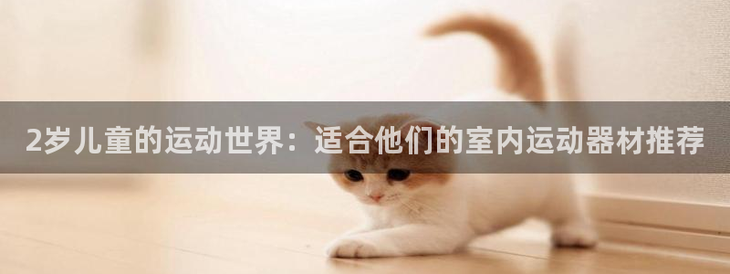 征途国际官方：2岁儿童的运动世界：适合他们的室内运动器材推荐