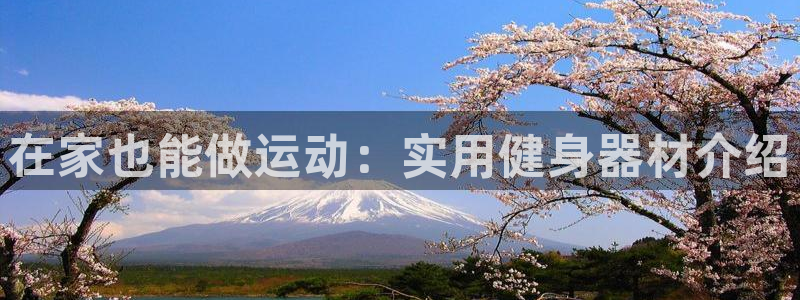 征途国际集团logo：在家也能做运动：实用健身器材介