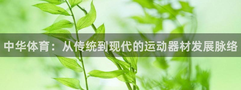 征途国际平台假的吗是真的吗：中华体育：从传统到现代的运动器材