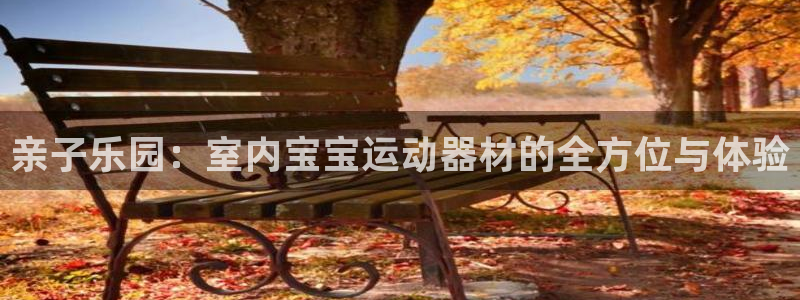 征途国际招商电话是多少啊：亲子乐园：室内宝宝运动器材的全方位