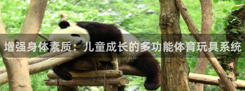征途国际集团官网首页：增强身体素质：儿童成长的多功能体育玩具